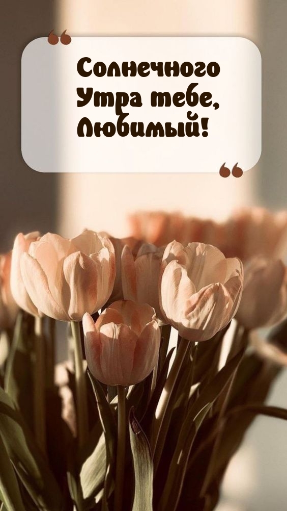 Солнечного Утра тебе, Любимый!