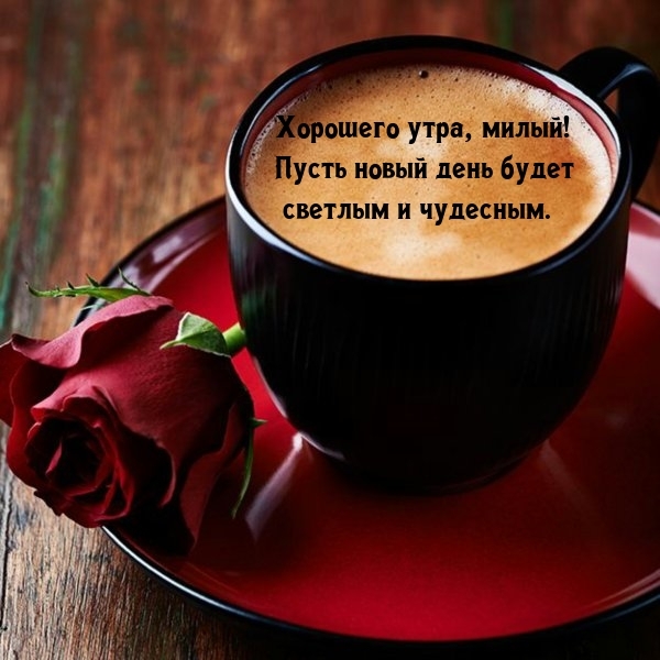Хорошего утра, милый! Пусть новый день будет светлым