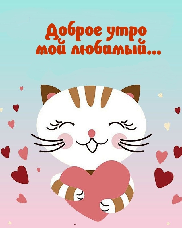Доброе утро мой любимый...