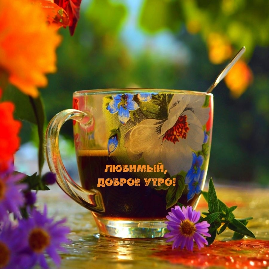 Любимый, доброе утро!