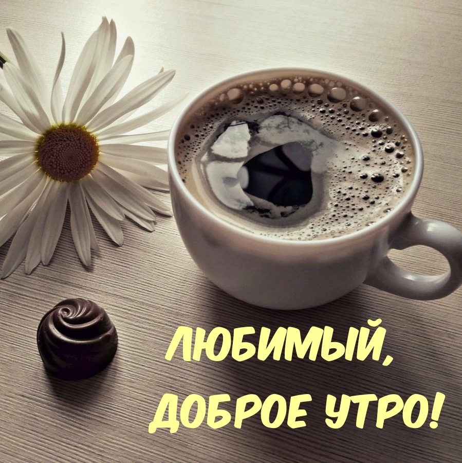 Любимый, доброе утро!