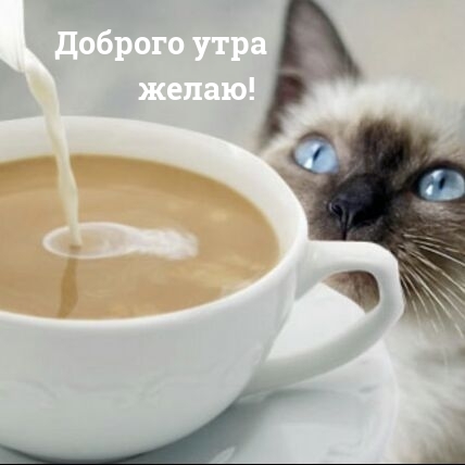 Доброго утра желаю!