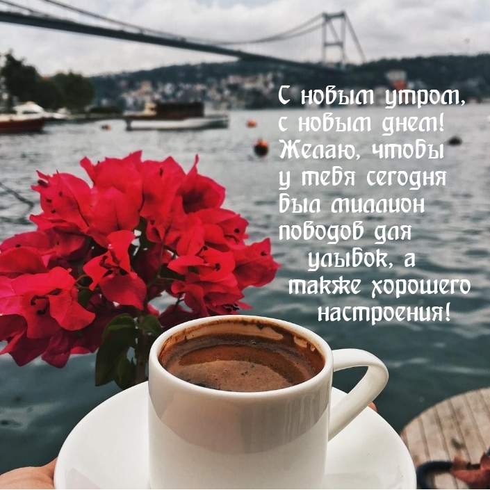 С новым утром, с новым днем! Улыбок, а также хорошего настроения!