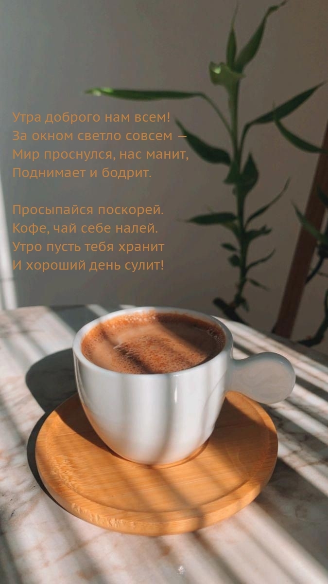 Утра доброго нам всем! За окном светло совсем — мир проснулся