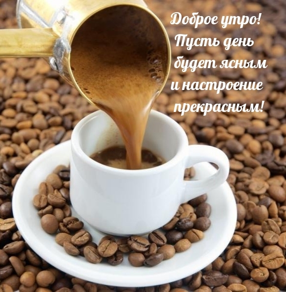 Доброе утро! Пусть день будет ясным и настроение прекрасным!