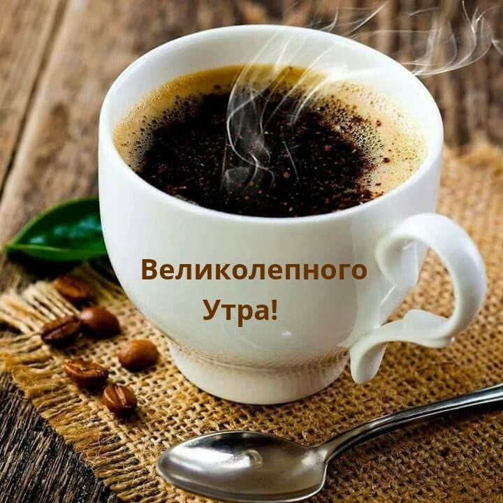 Великолепного утра!