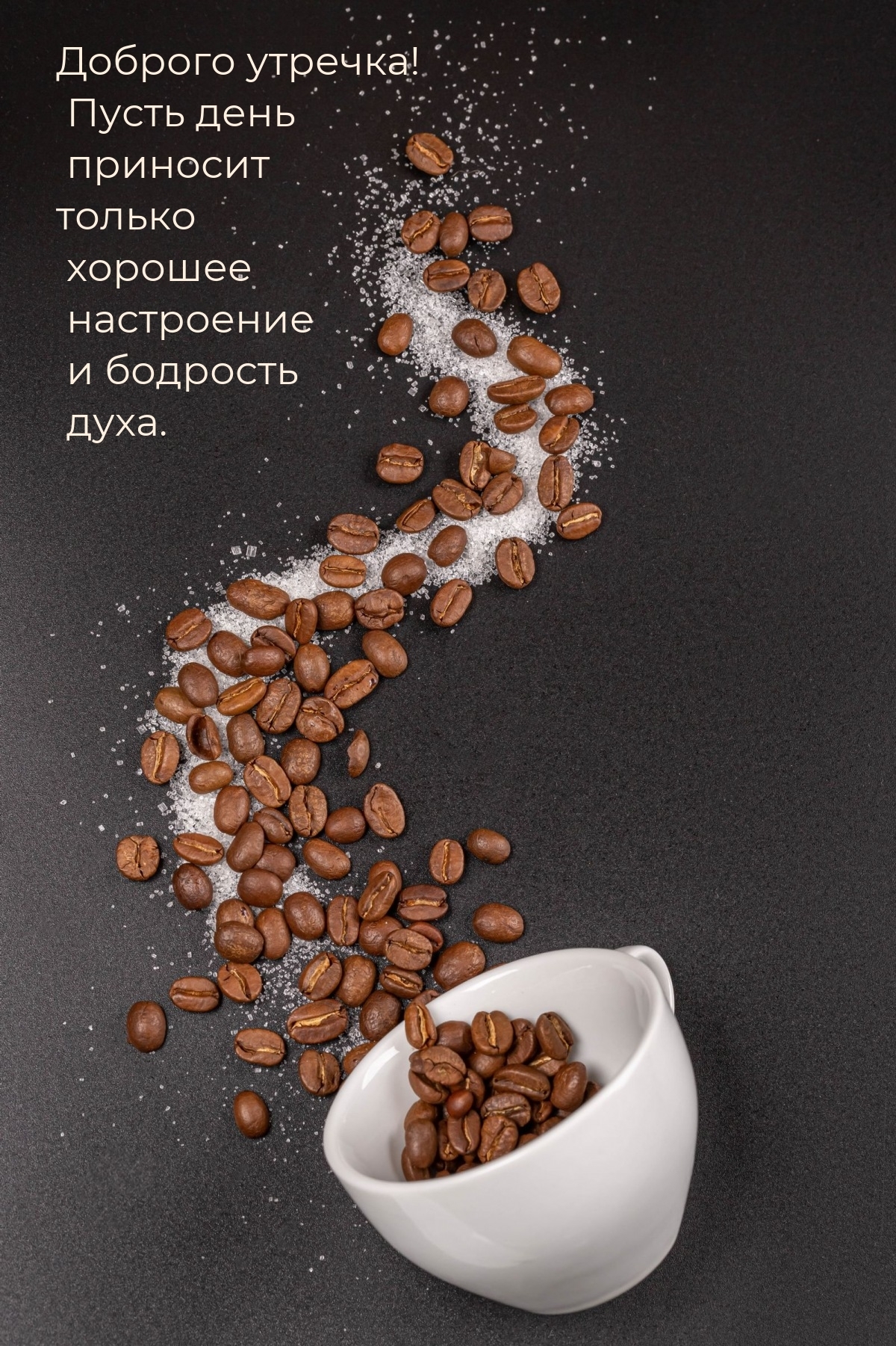 Пусть день приносит хорошее настроение и бодрость духа.