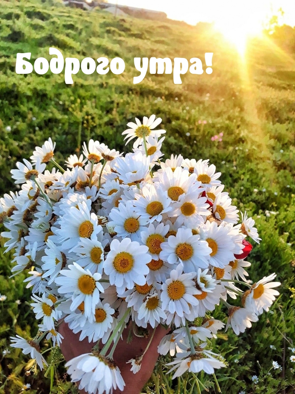 Бодрого утра!