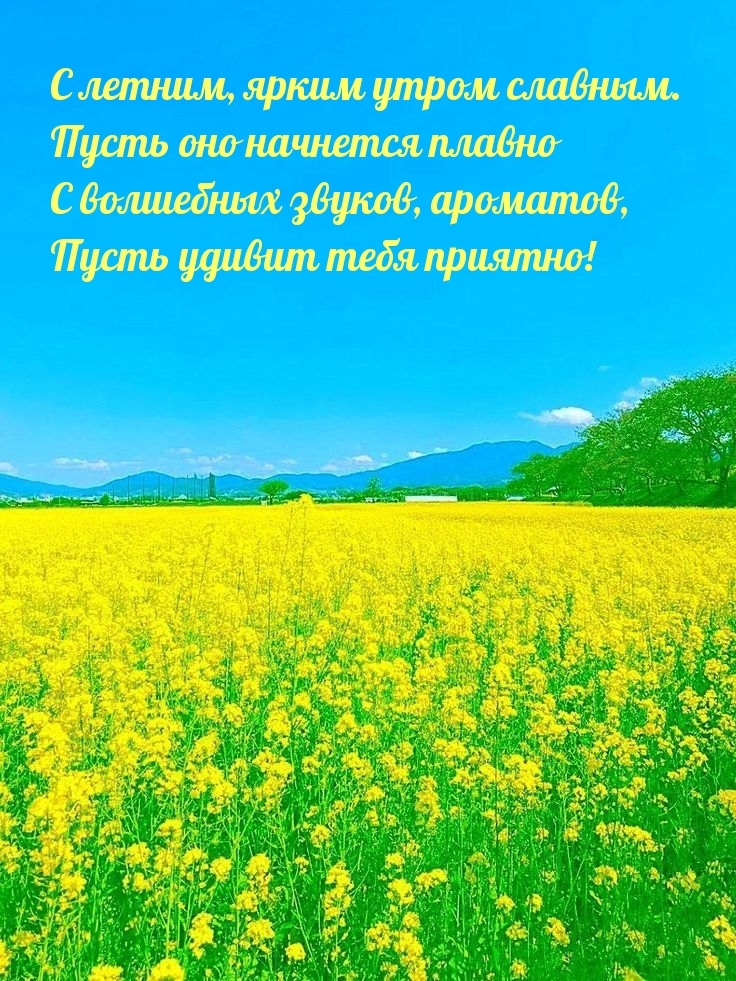 С летним, ярким утром славным. Пусть удивит тебя приятно!