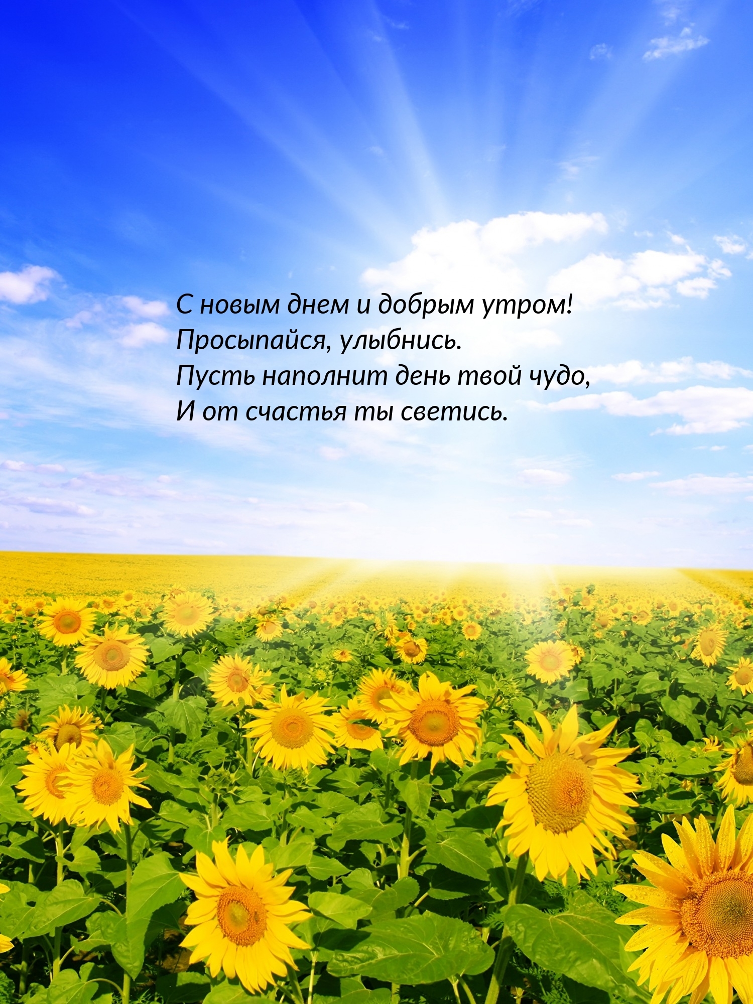 С новым днем и добрым утром! Просыпайся, улыбнись.