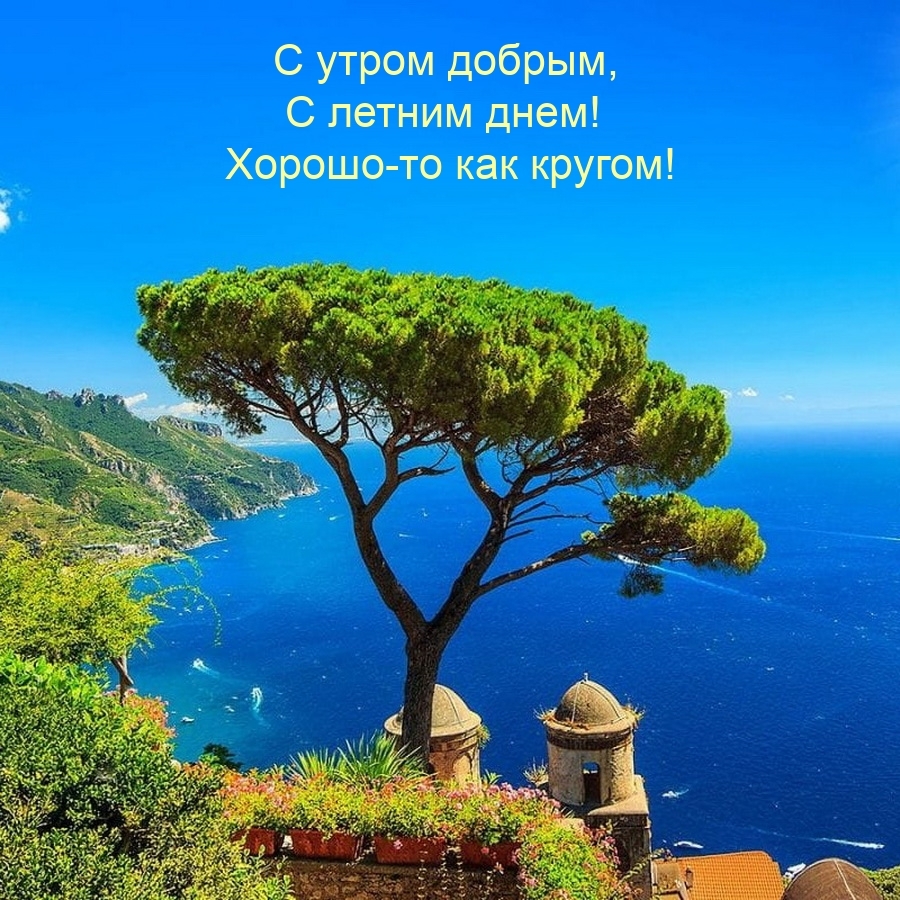 С утром добрым, с летним днем! Хорошо-то как кругом!