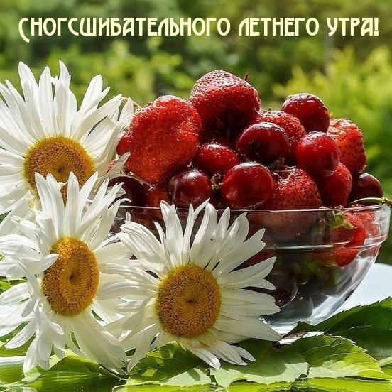 Сногсшибательного летнего утра!