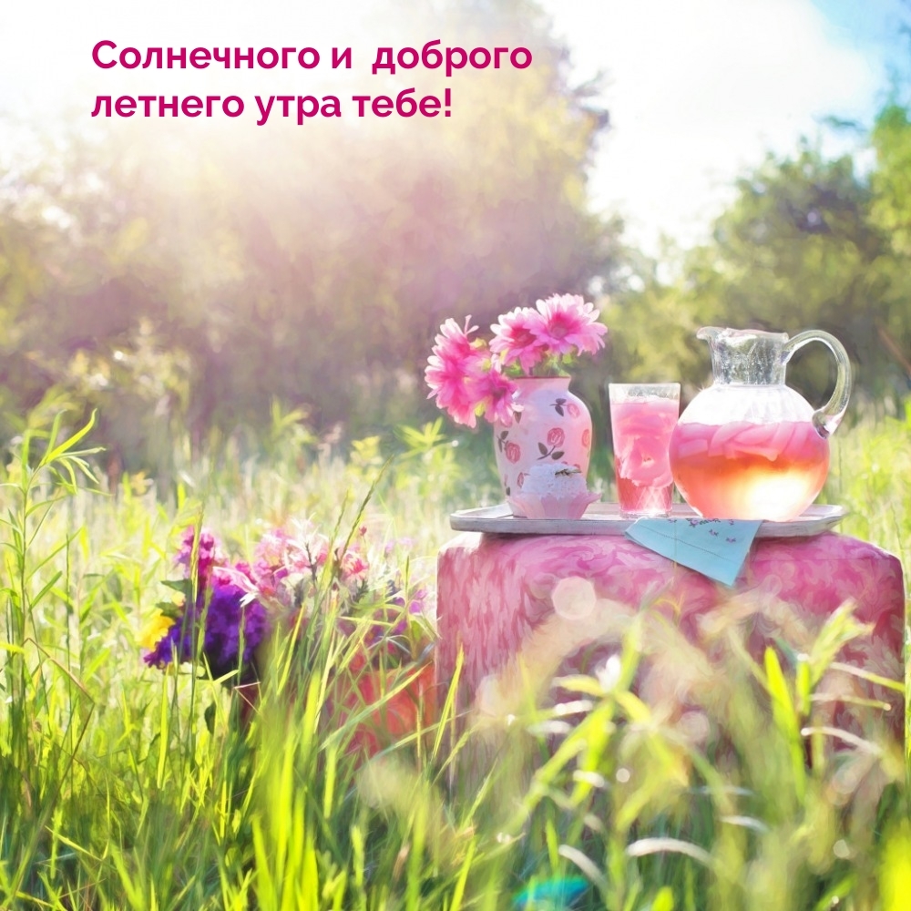 Солнечного и доброго летнего утра тебе!