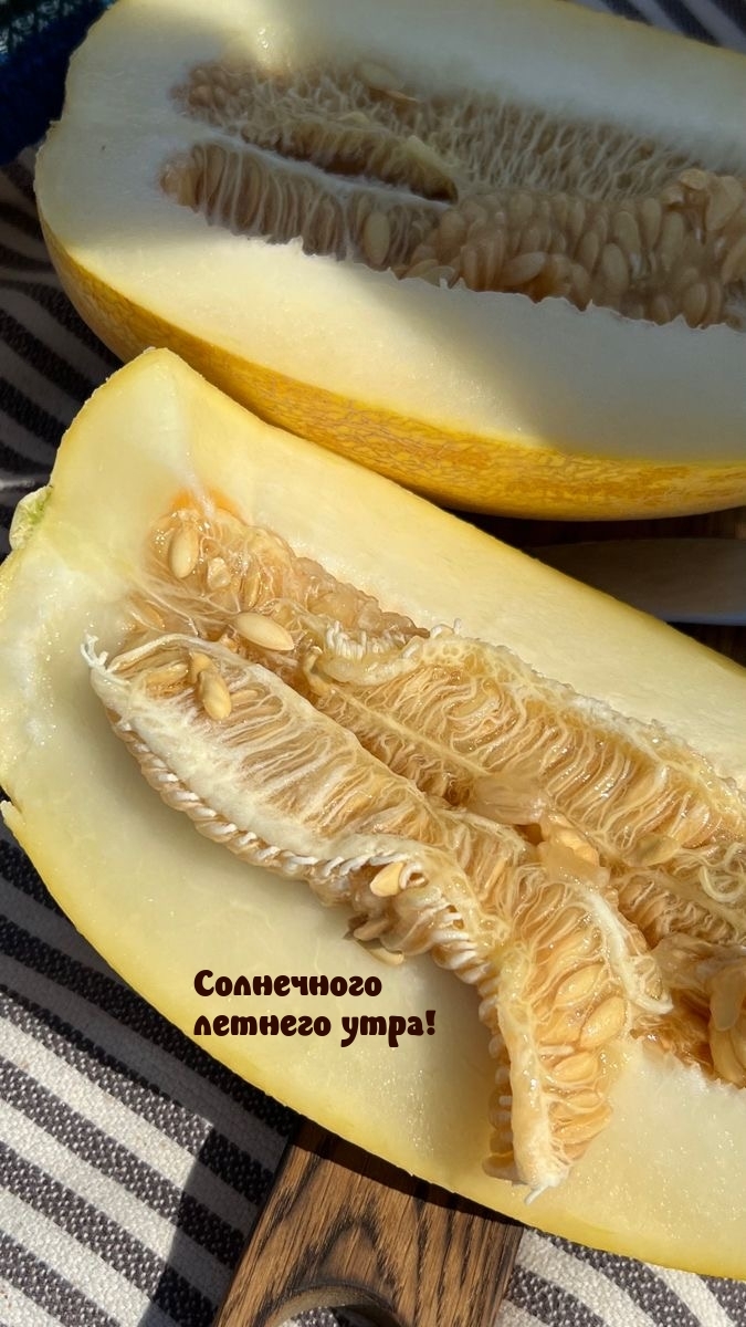 Солнечного летнего утра!