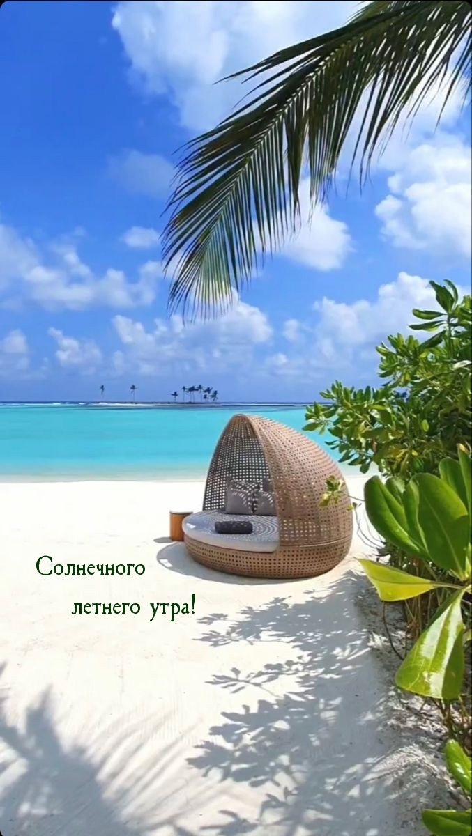 Солнечного летнего утра!