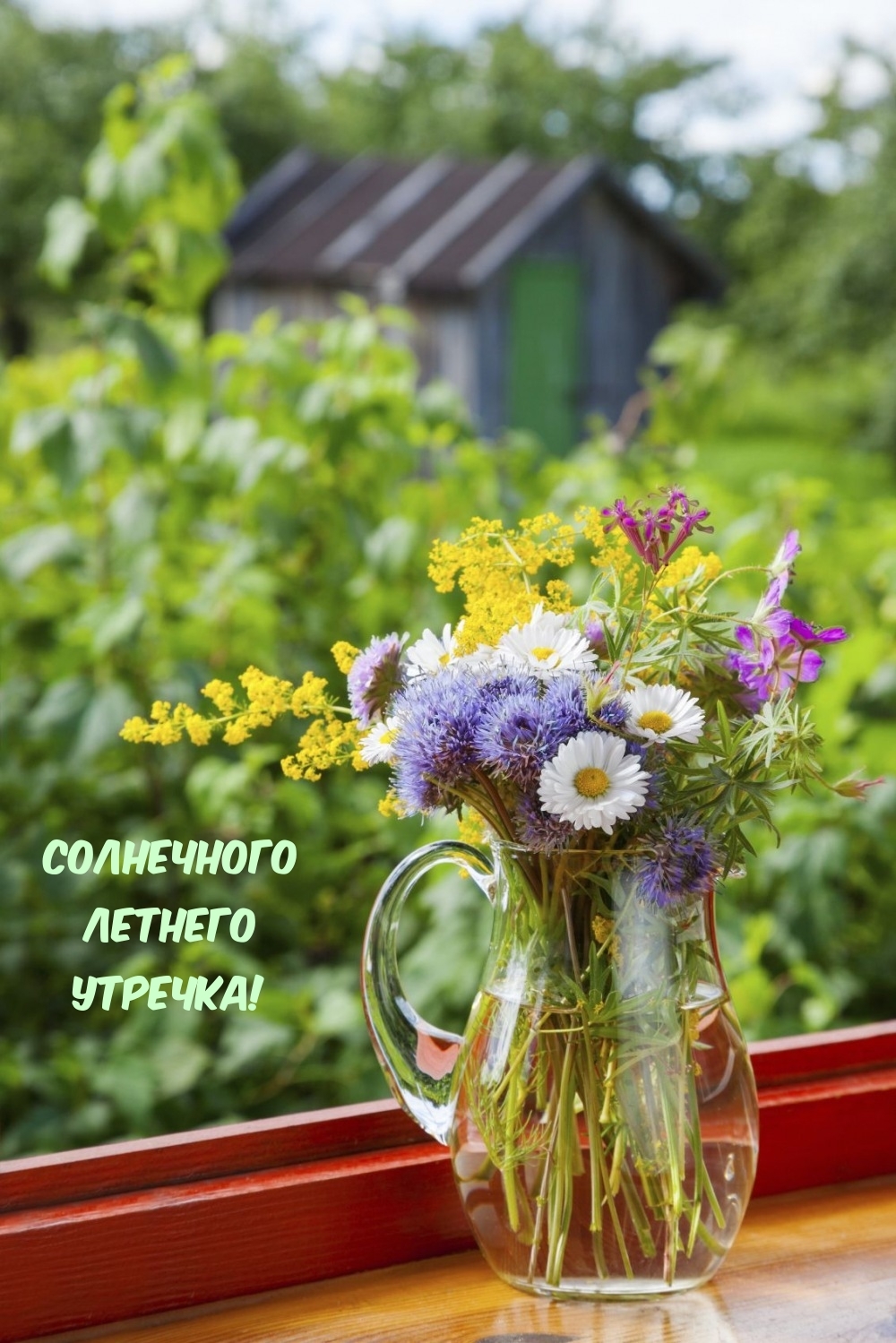 Солнечного летнего утречка!