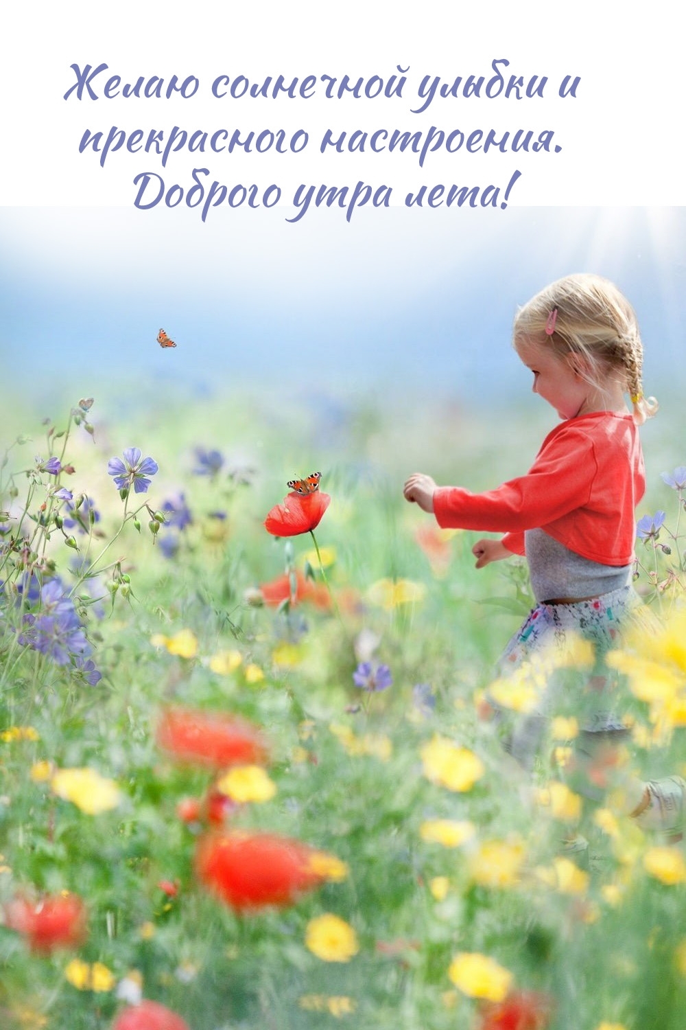 Солнечной улыбки и прекрасного настроения. Доброго утра лета!