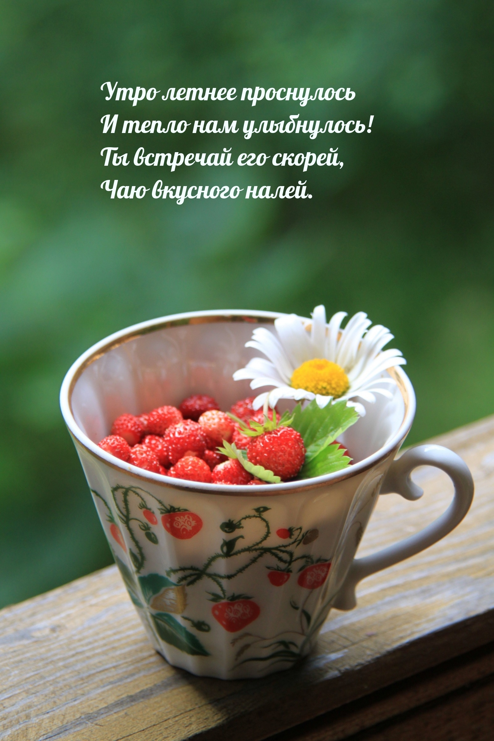 Утро летнее проснулось и тепло нам улыбнулось!