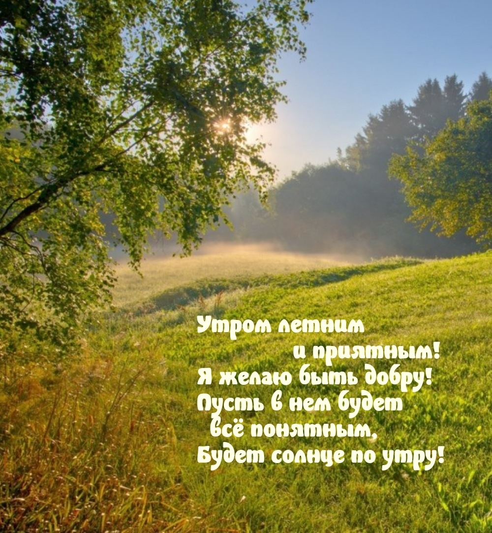 Утром летним и приятным! Я желаю быть добру!