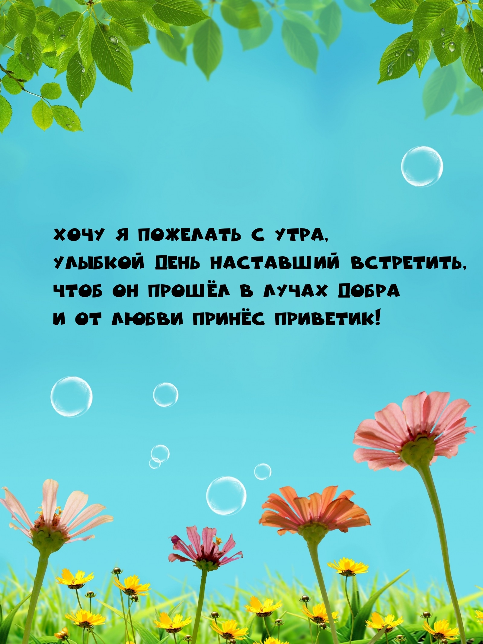 Хочу я пожелать с утра, улыбкой день наставший встретить
