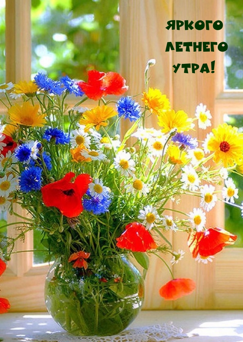 Яркого летнего утра!