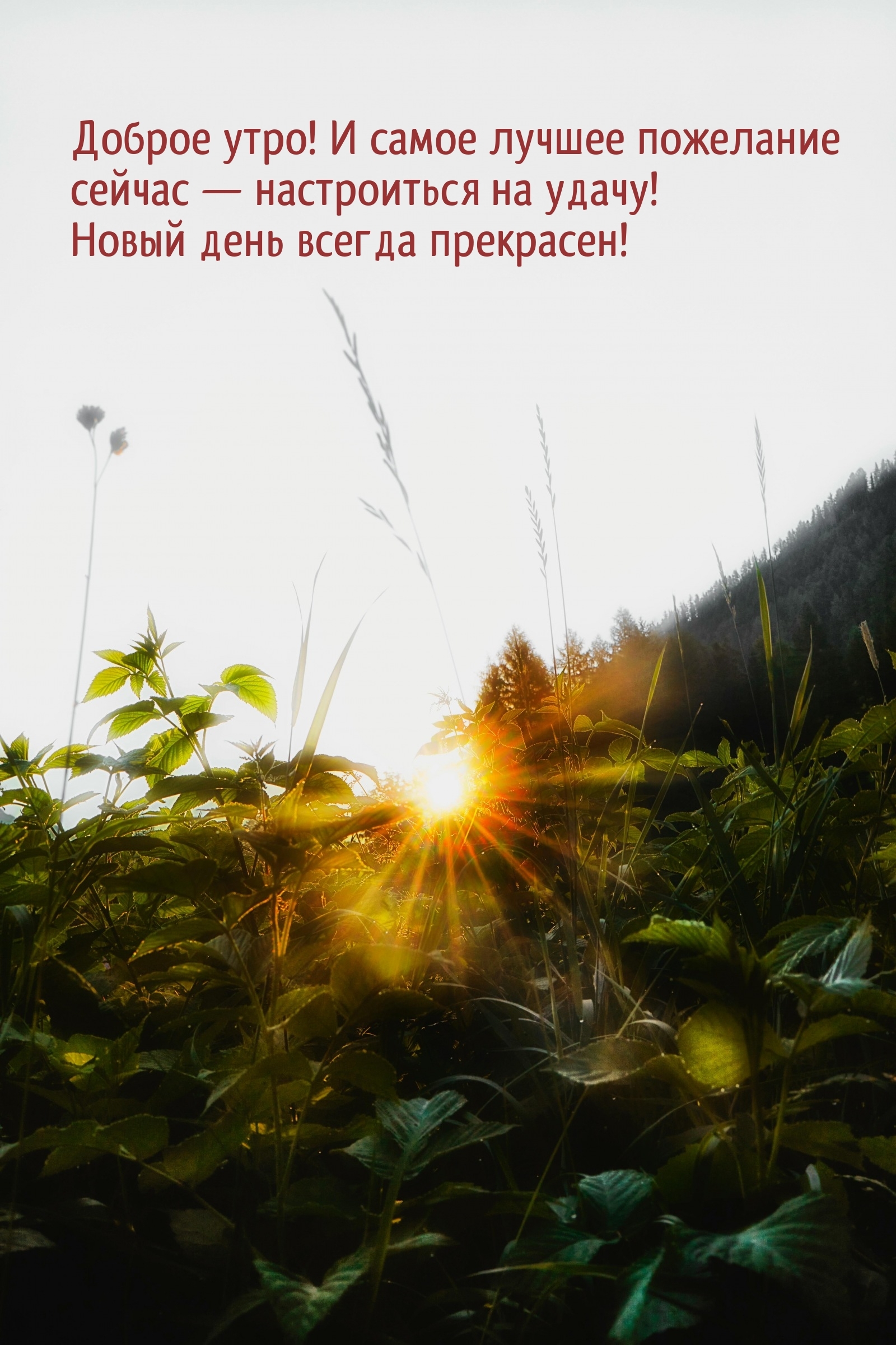 Доброе утро! И самое лучшее пожелание сейчас — настроиться на удачу! Доброе утро! И самое лучшее пожелание сейчас — настроиться на удачу! Доброе утро! И самое лучшее пожелание сейчас — настроиться на удачу! Доброе утро! И самое лучшее пожелание сейчас — настроиться на удачу!