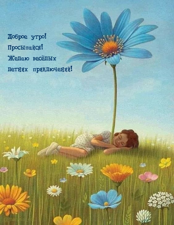 Доброе утро! Просыпайся! Желаю веселых летних приключений!