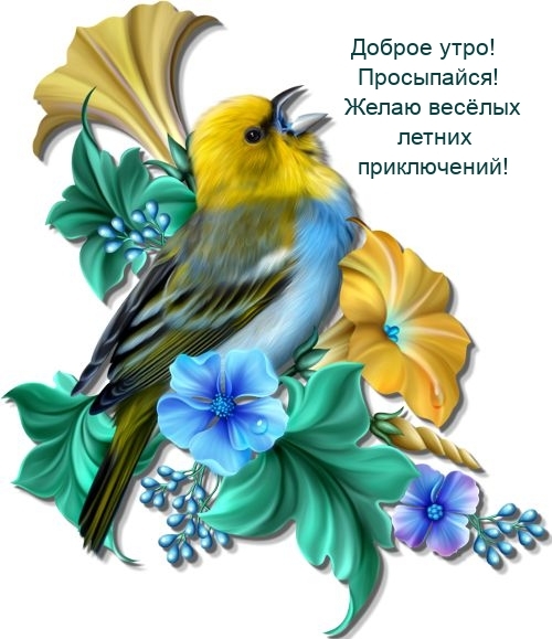 Доброе утро! Просыпайся! Желаю веселых летних приключений!