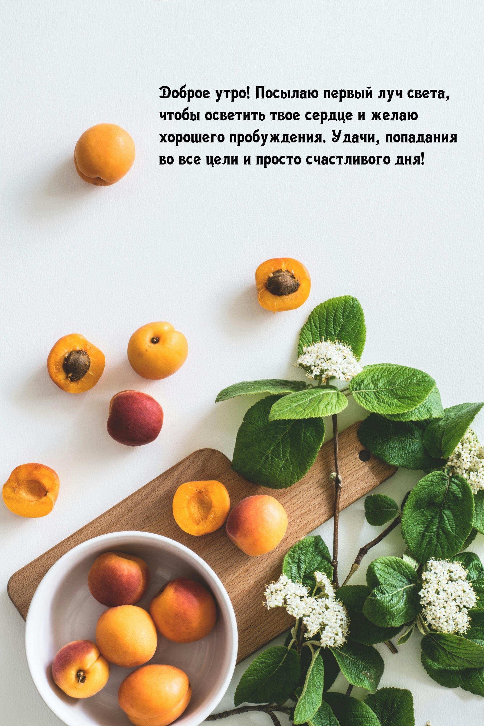 Доброе утро! Удачи, попадания во все цели и просто счастливого дня!