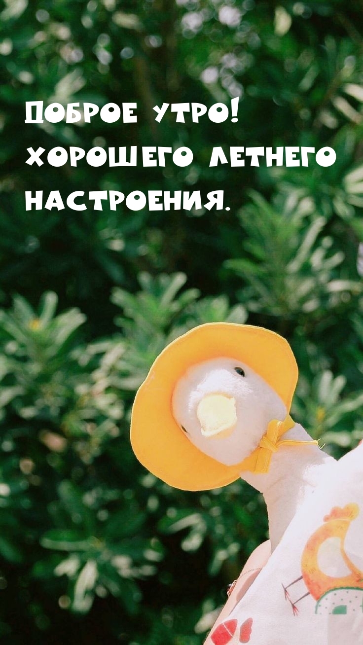Доброе утро! Хорошего летнего настроения.