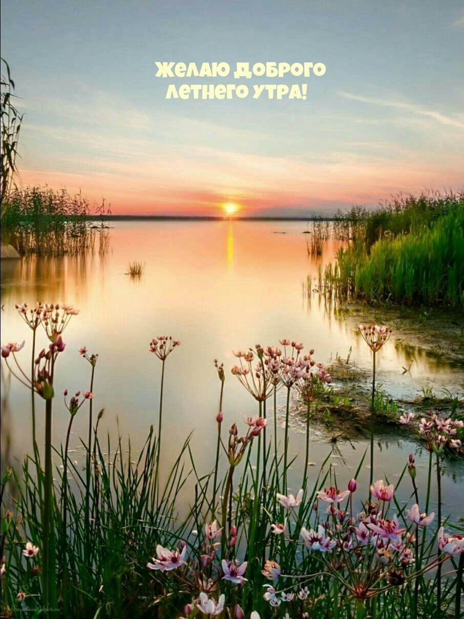 Желаю доброго летнего утра!