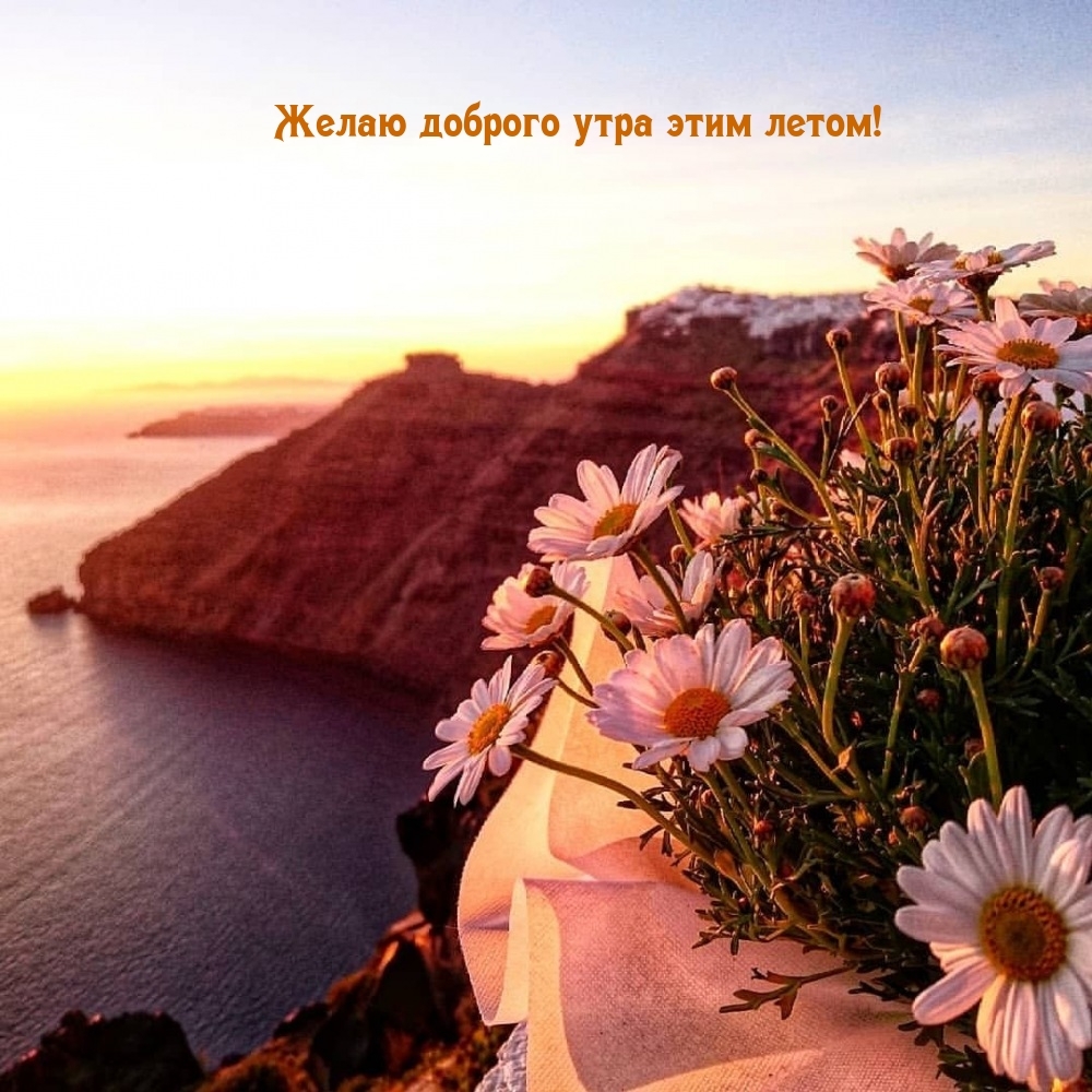 Желаю доброго утра этим летом!