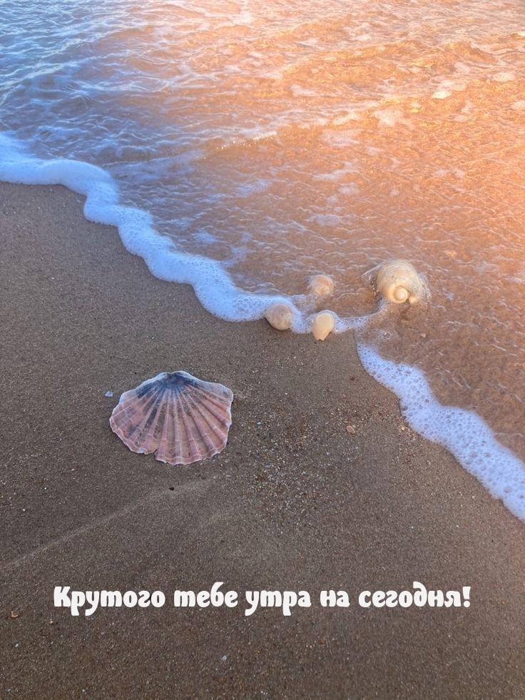 Крутого тебе утра на сегодня!