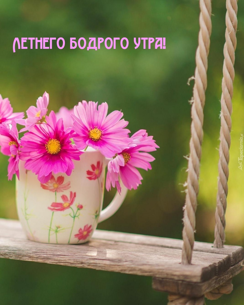 Летнего бодрого утра!