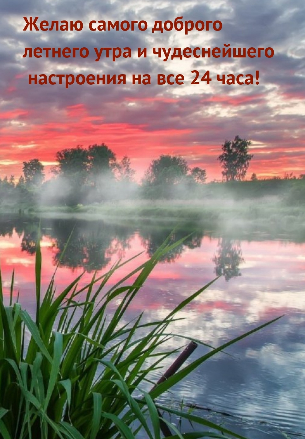 Доброго летнего утра и чудеснейшего настроения на все 24 часа!