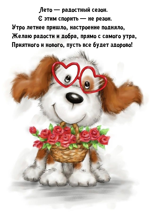 Лето — радостный сезон. С этим спорить — не резон.