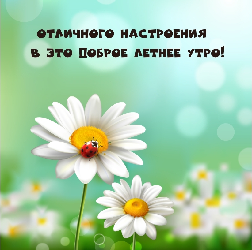 Отличного настроения в это доброе летнее утро!
