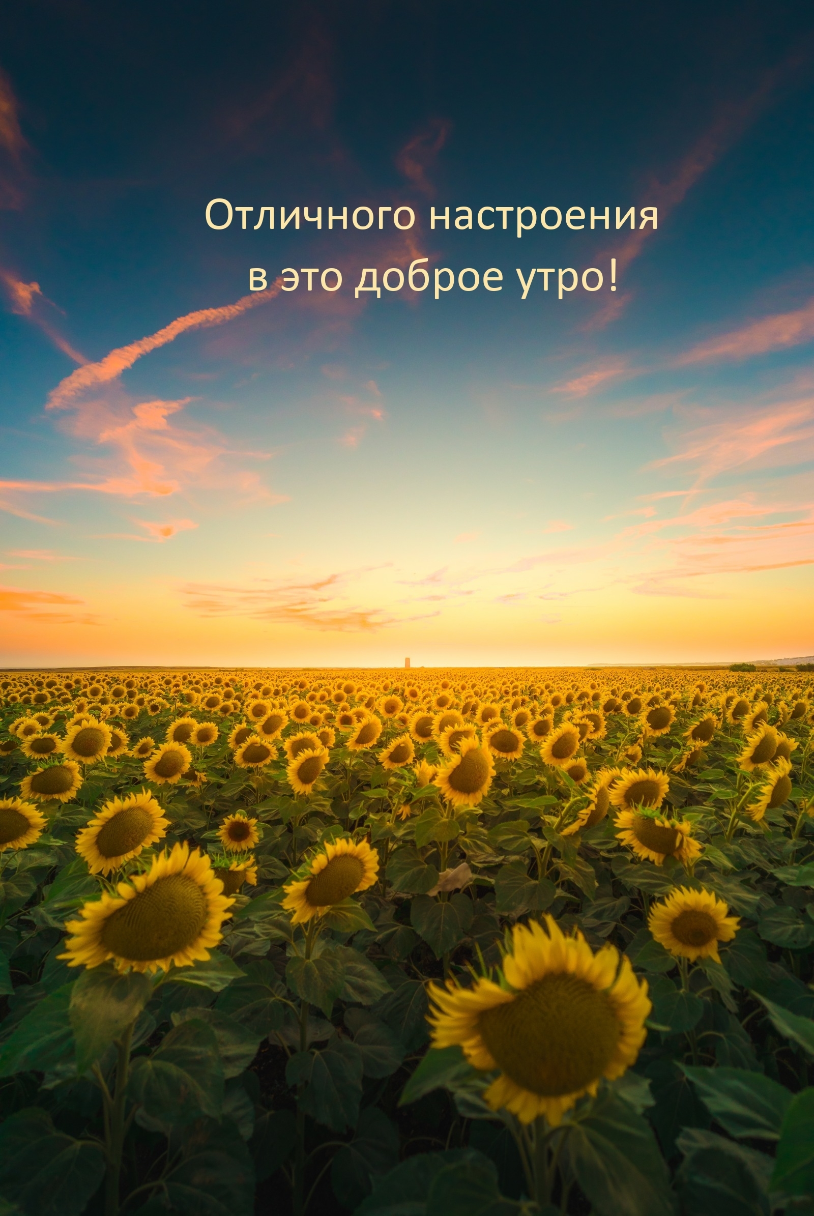 Отличного настроения в это доброе утро!