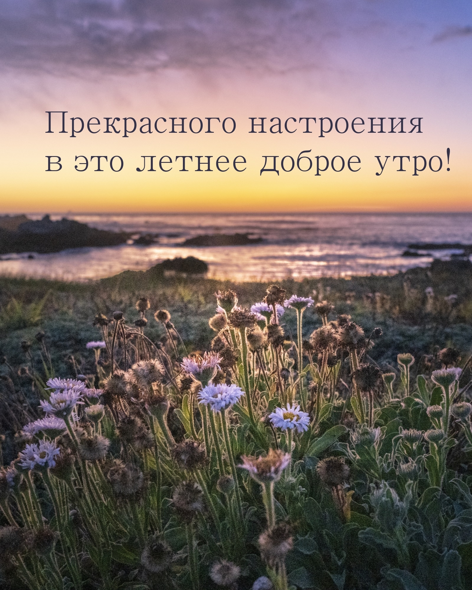 Прекрасного настроения в это летнее доброе утро!