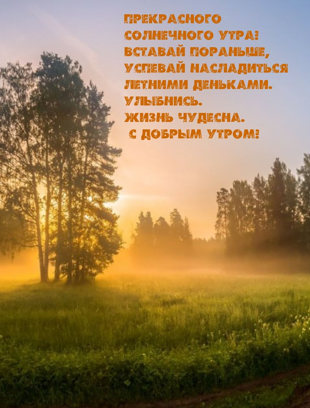 Прекрасного солнечного утра! Вставай пораньше