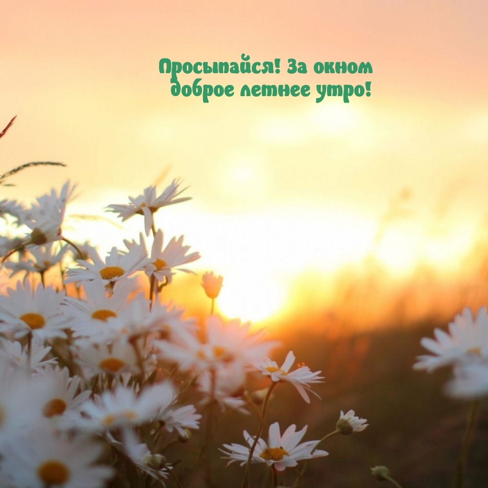 Просыпайся! За окном доброе летнее утро!