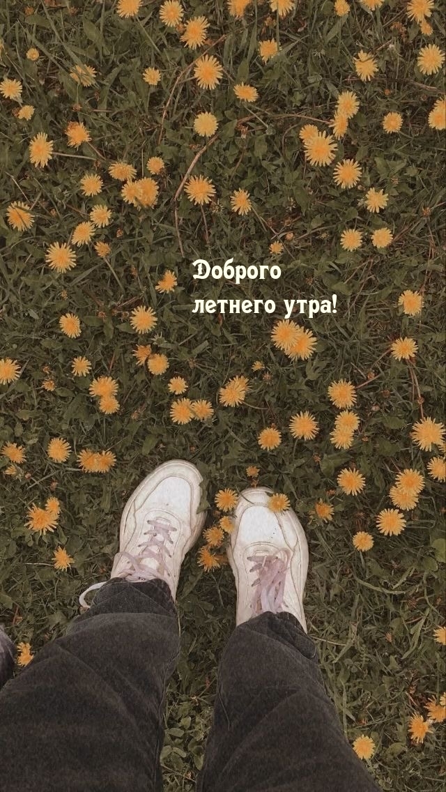 Доброго летнего утра!