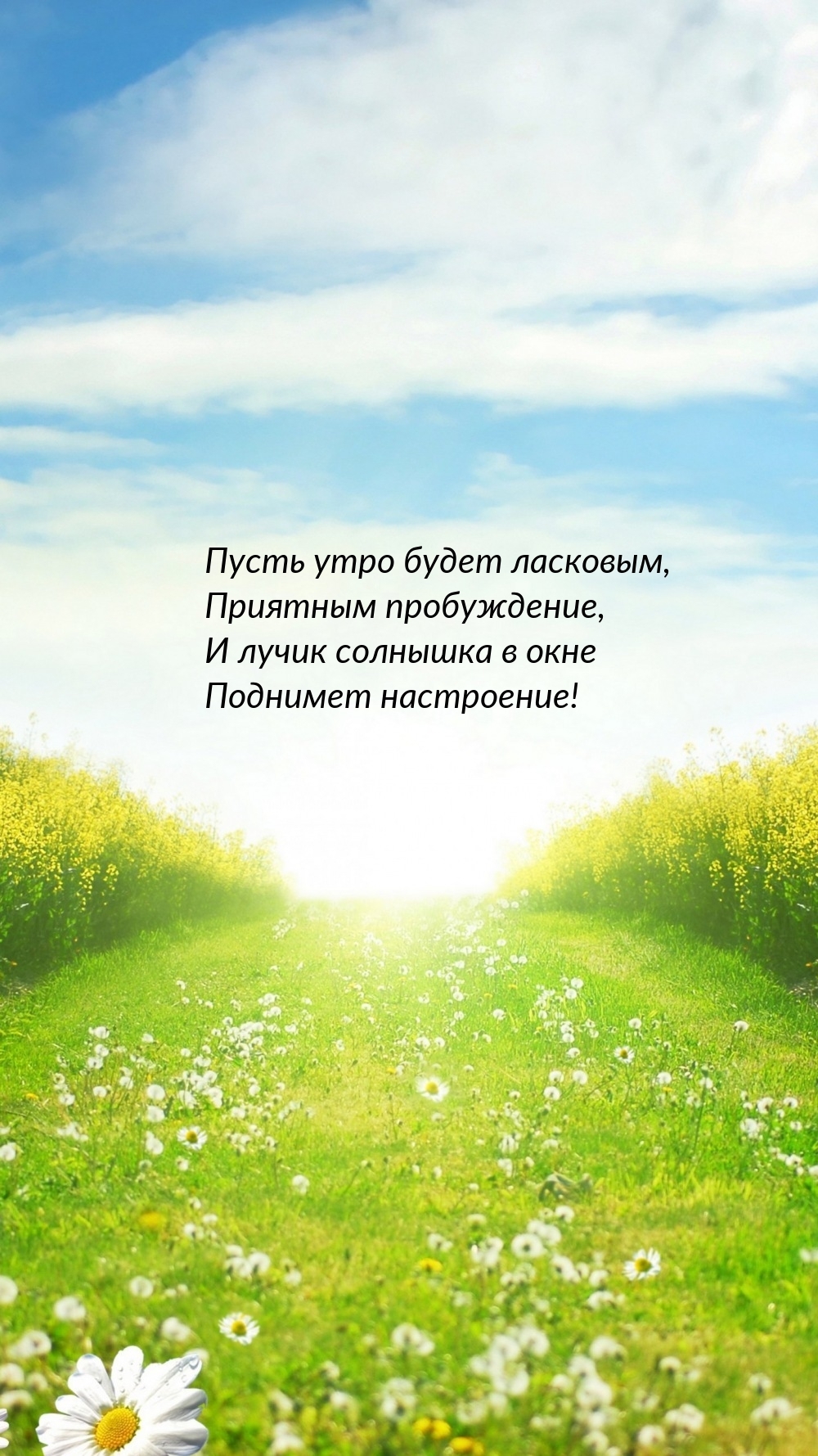 Пусть утро будет ласковым, приятным пробуждение