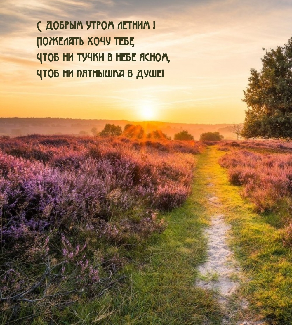 С добрым утром летним! Чтоб ни тучки в небе ясном
