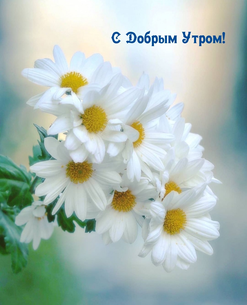 С Добрым Утром!