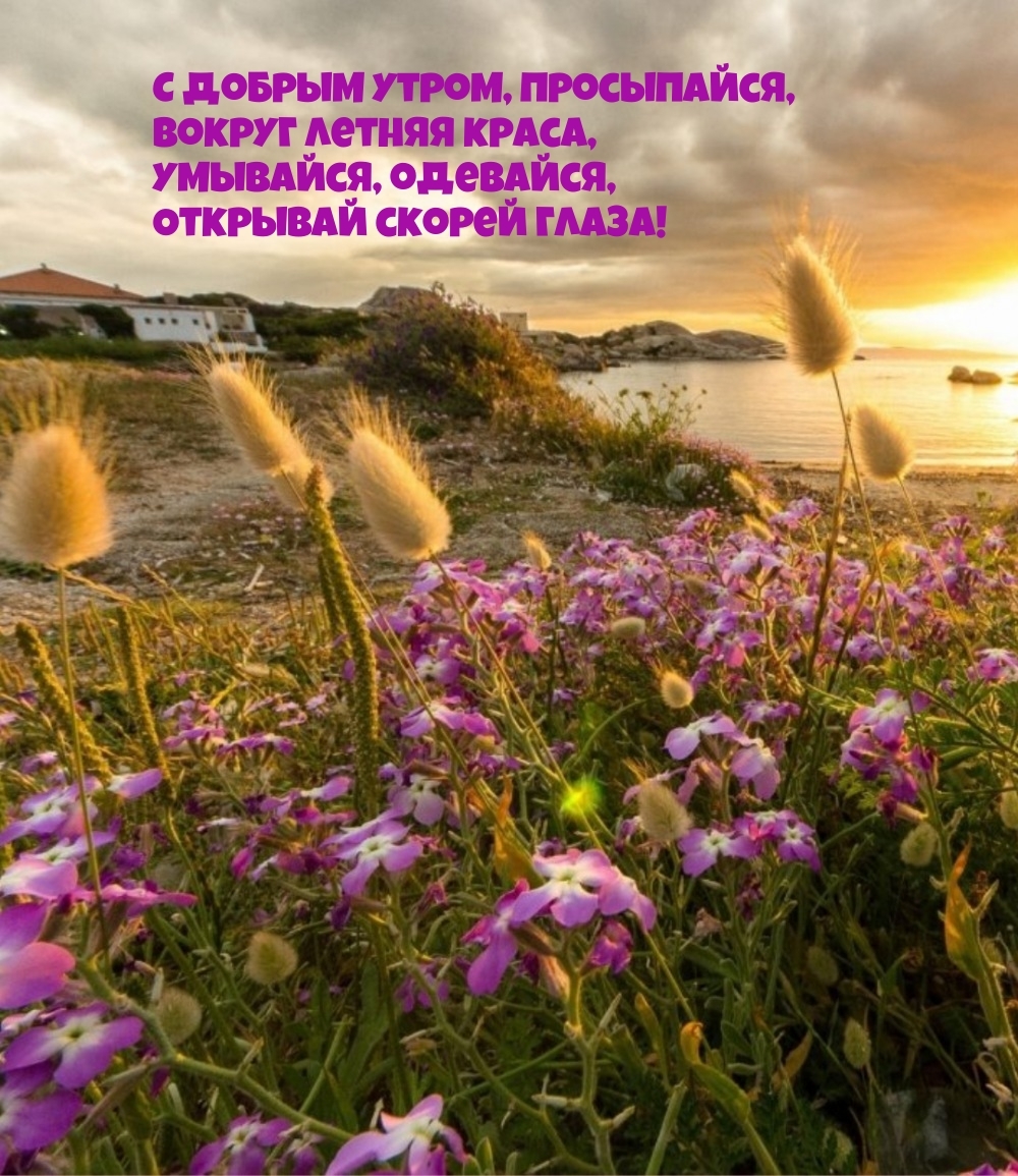 С добрым утром, просыпайся, вокруг летняя краса