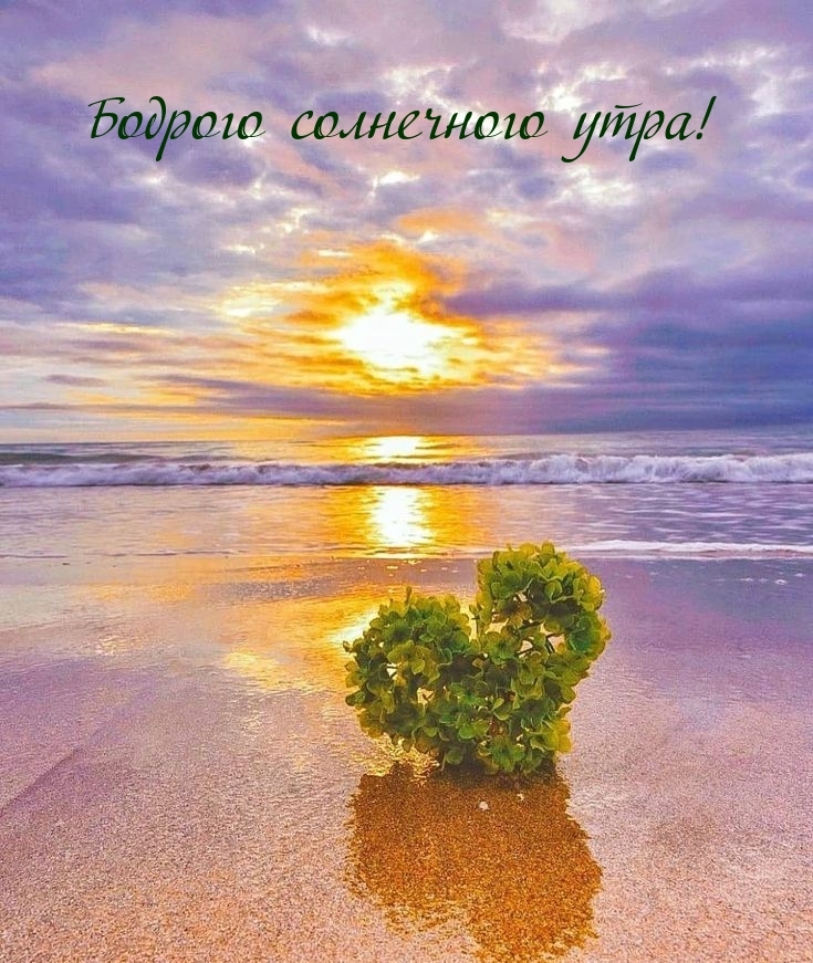 Бодрого солнечного утра!