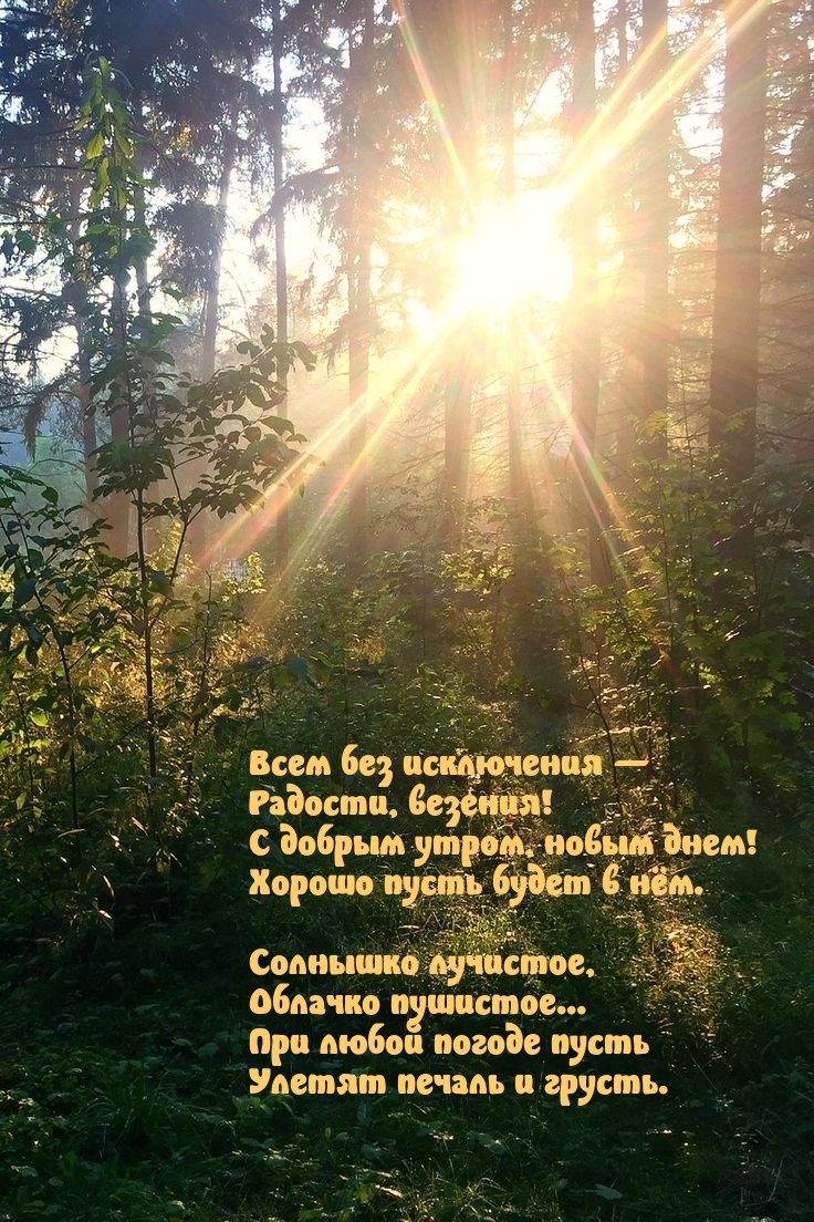 Всем без исключения — радости, везения! С добрым утром, новым днем!