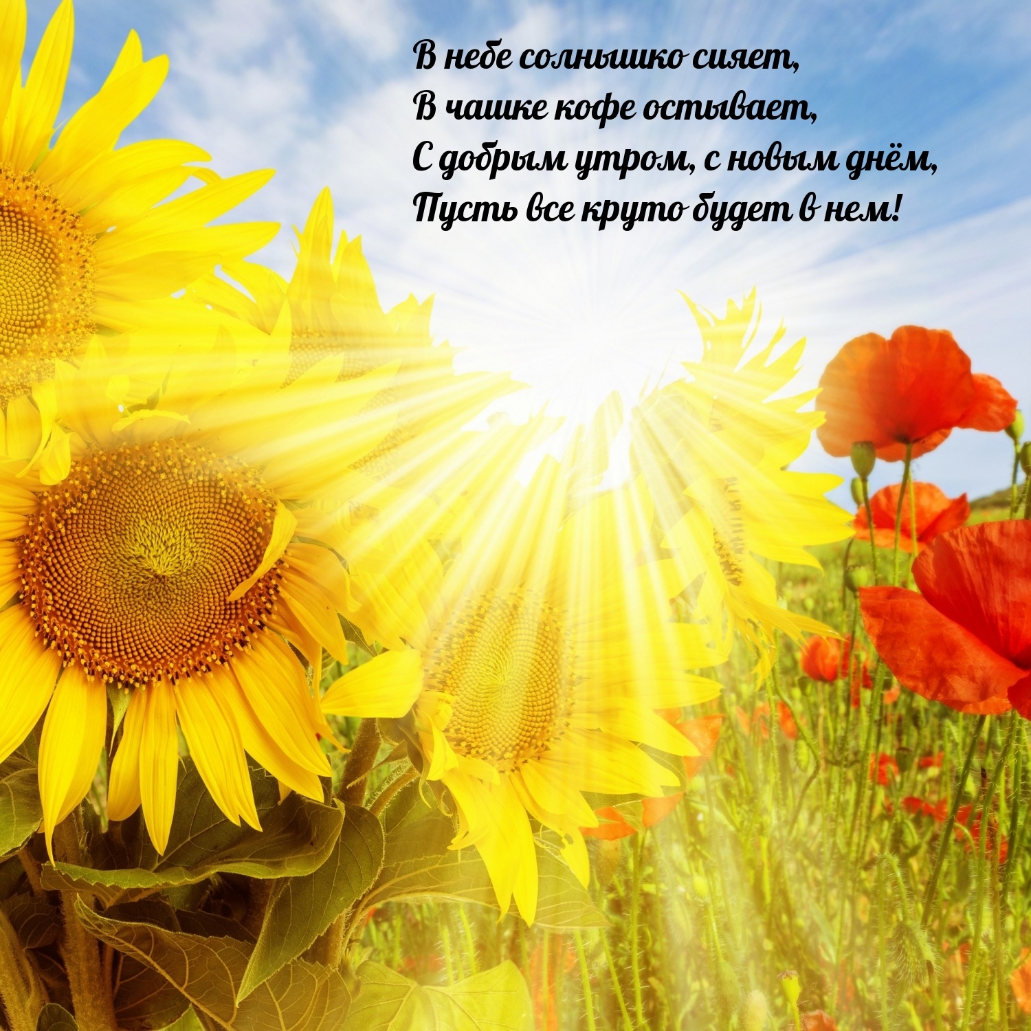 С добрым утром, с новым днем, пусть все круто будет в нем!