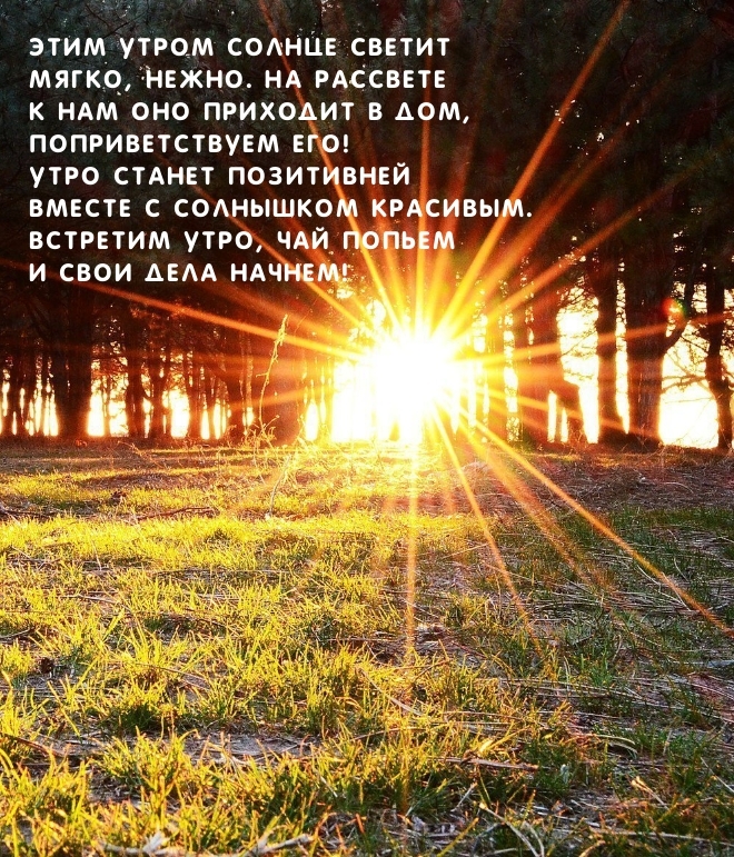 Встретим утро, чай попьем и свои дела начнем!